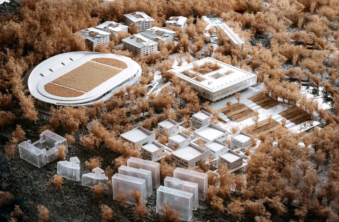 海边的“童年”高校 · 立木幼师学校丨立木 L&M-34