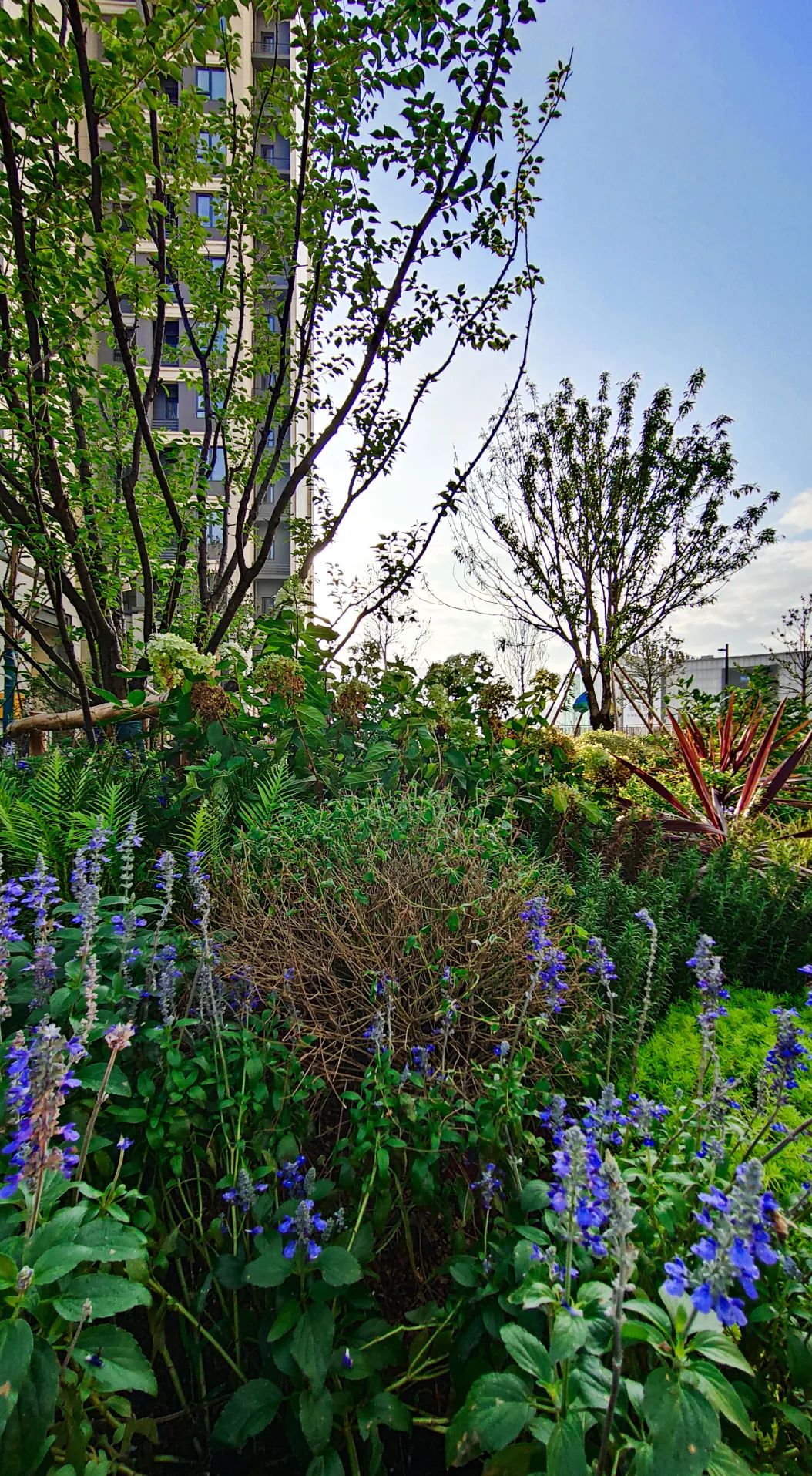 归心交付｜晓风澜庭一期交付，打开滨江都会生活之门-79