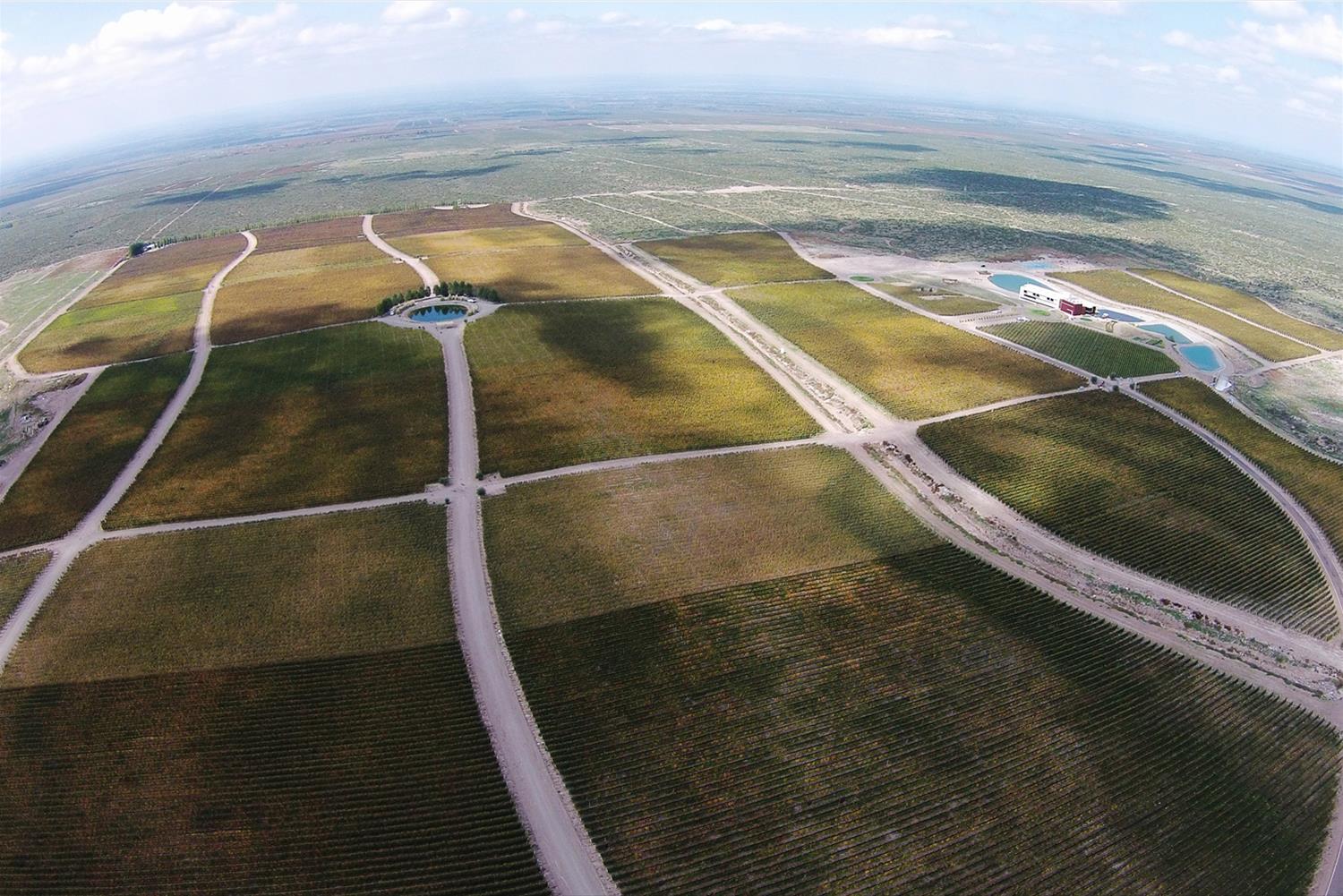 阿根廷 Casa de Uco Vineyard & Wine Resort 酒庄酒店-1