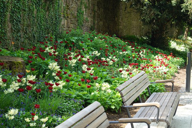 2023 年霍特尔州立花园展

注：Hö·ter可能是一个特定地点名称，若有更准确的信息或标准译法，可按需调整 丨Büro Christian Meyer-0