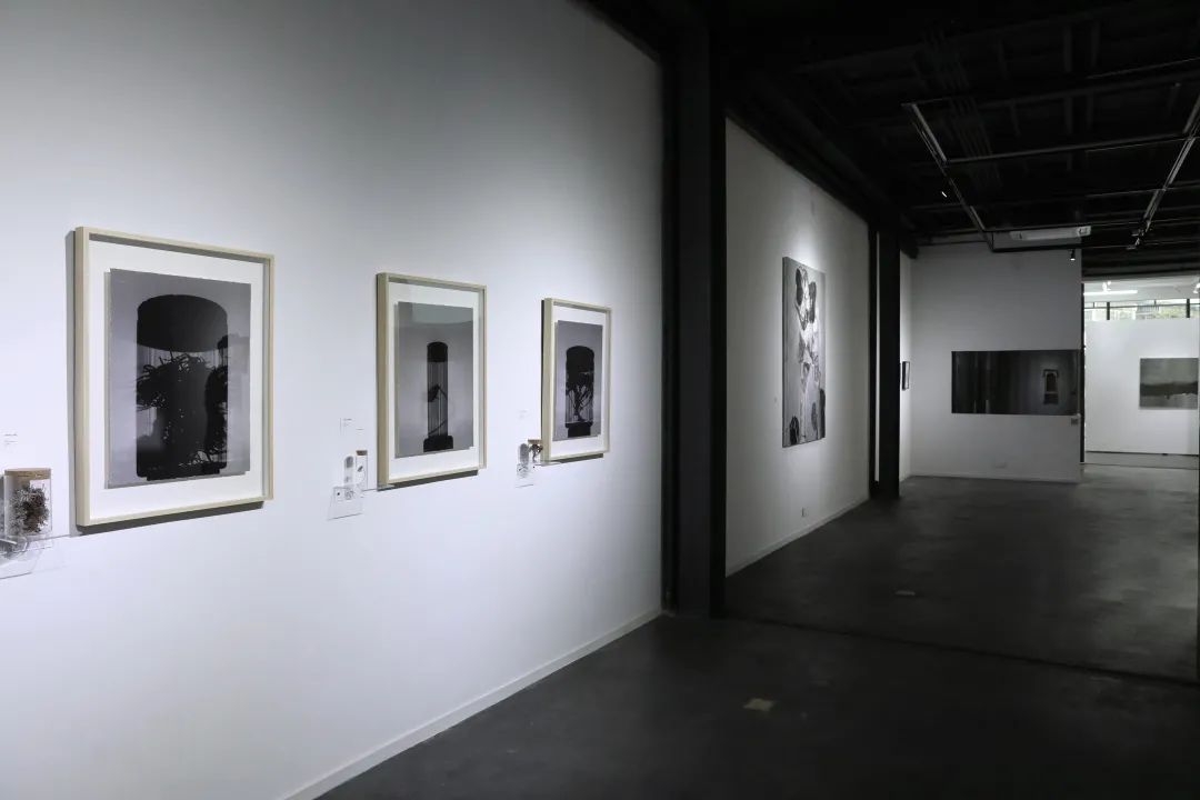 西湖老厂房的生态设计新生-21