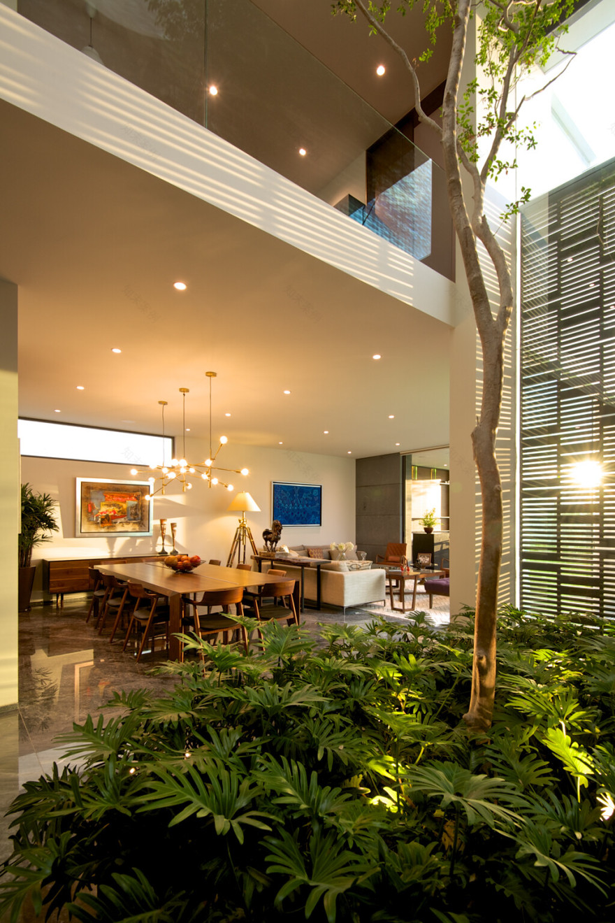 墨西哥“树屋”设计-22