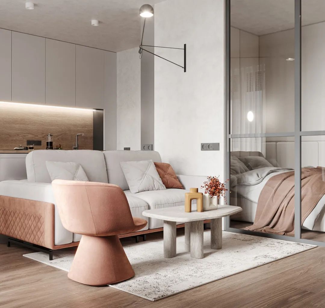 44㎡小宅设计丨Dmitry Shevchenko-5