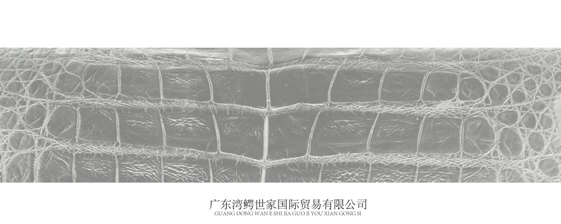 广东湾鳄世家皮具三元里旗舰店室内设计-0