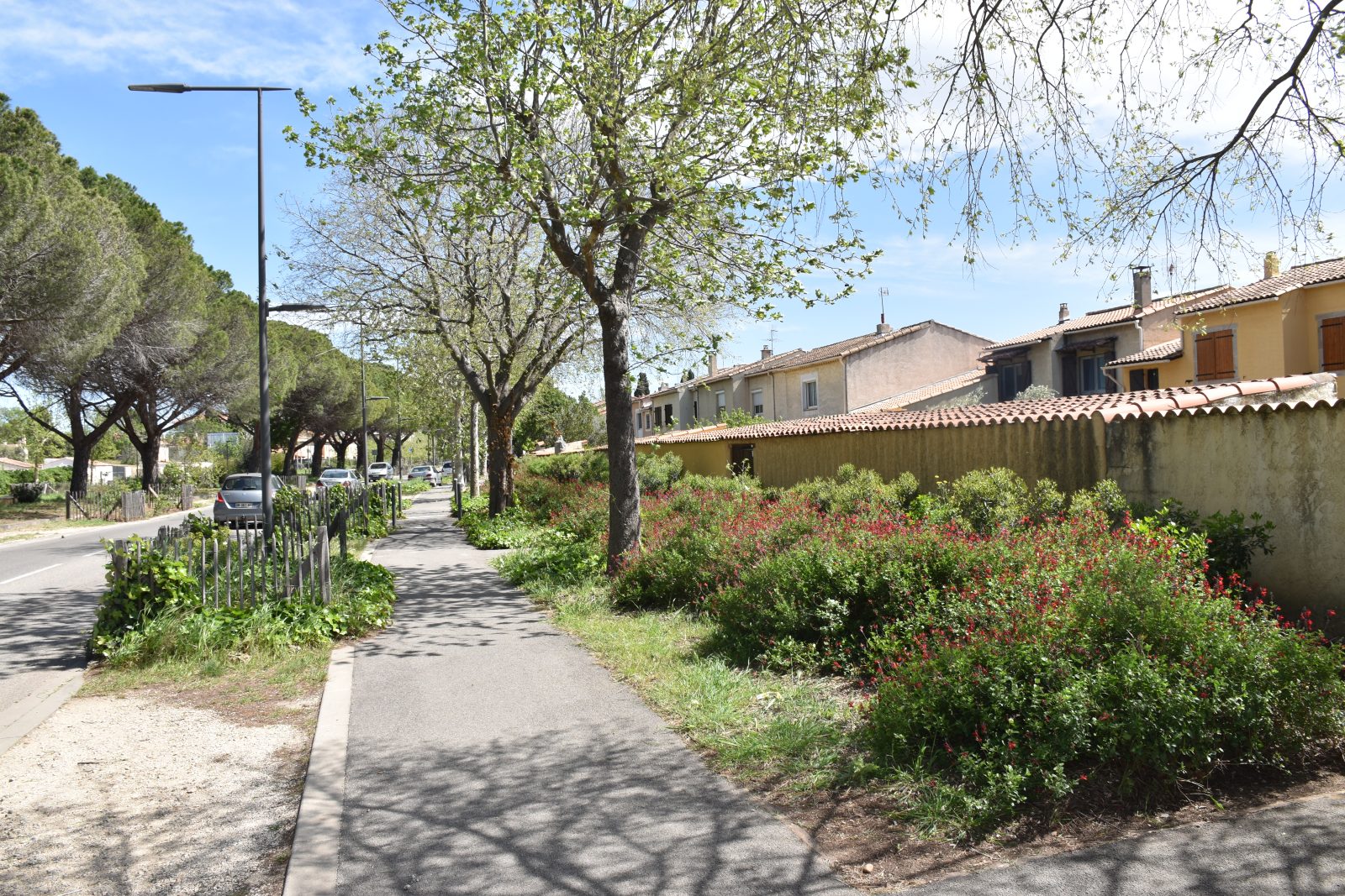 Boulevard Théodore  Aubanel 道路改造项目-55