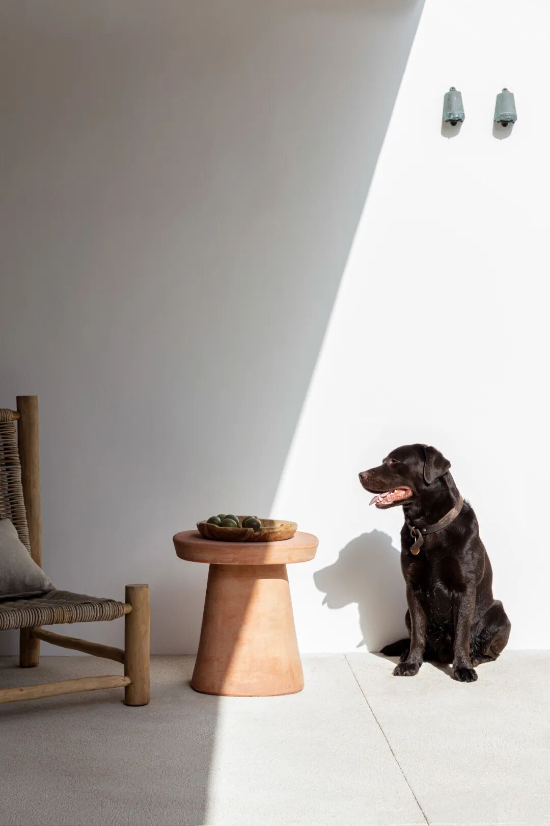 侘寂xTama，融于山海！-37