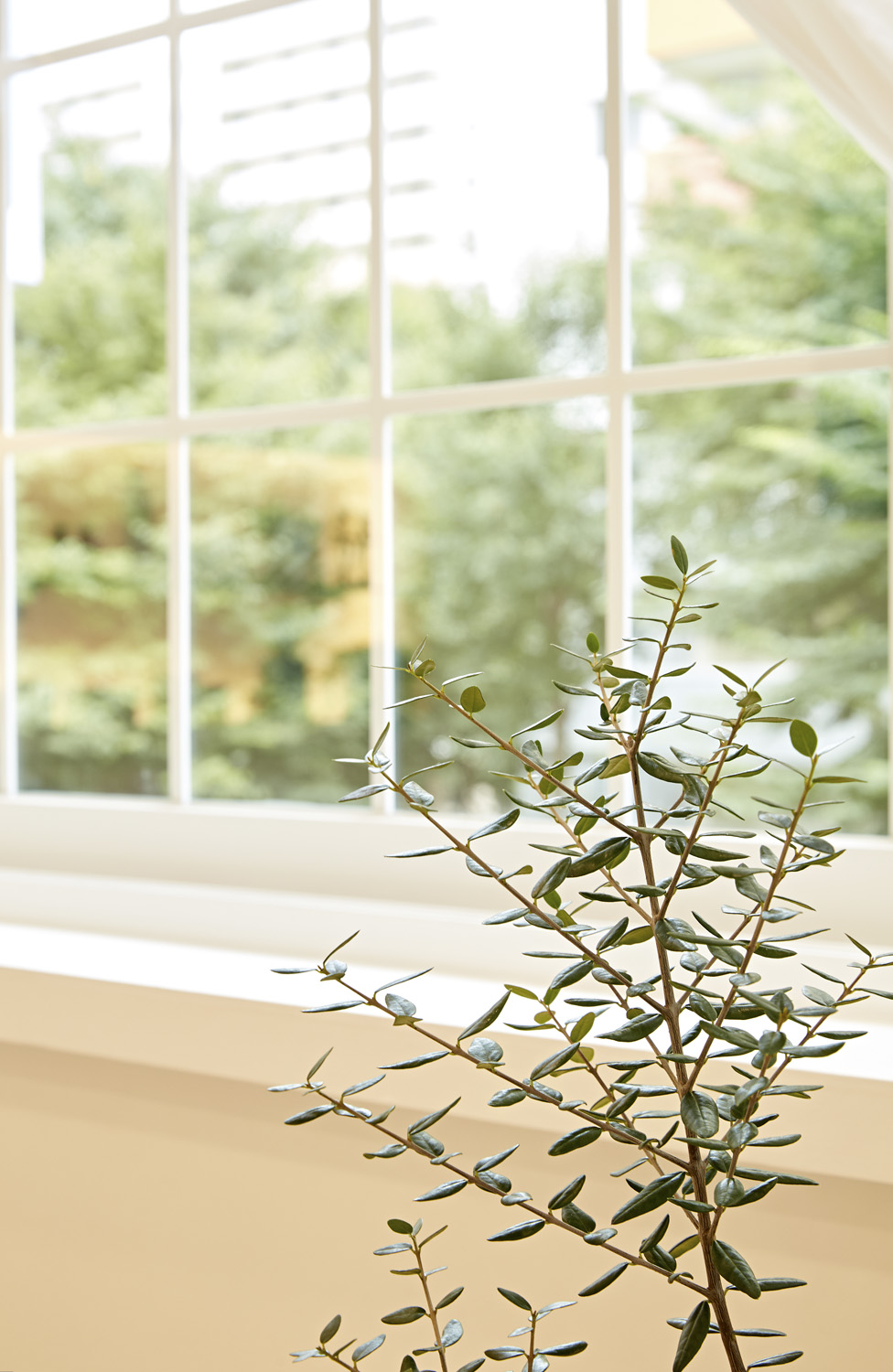 温馨 16 平皮肤护理店 | 自然氛围的温馨空间-16