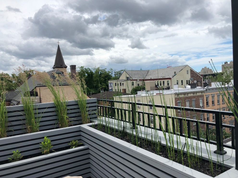 Jersey City Roof Garden-22