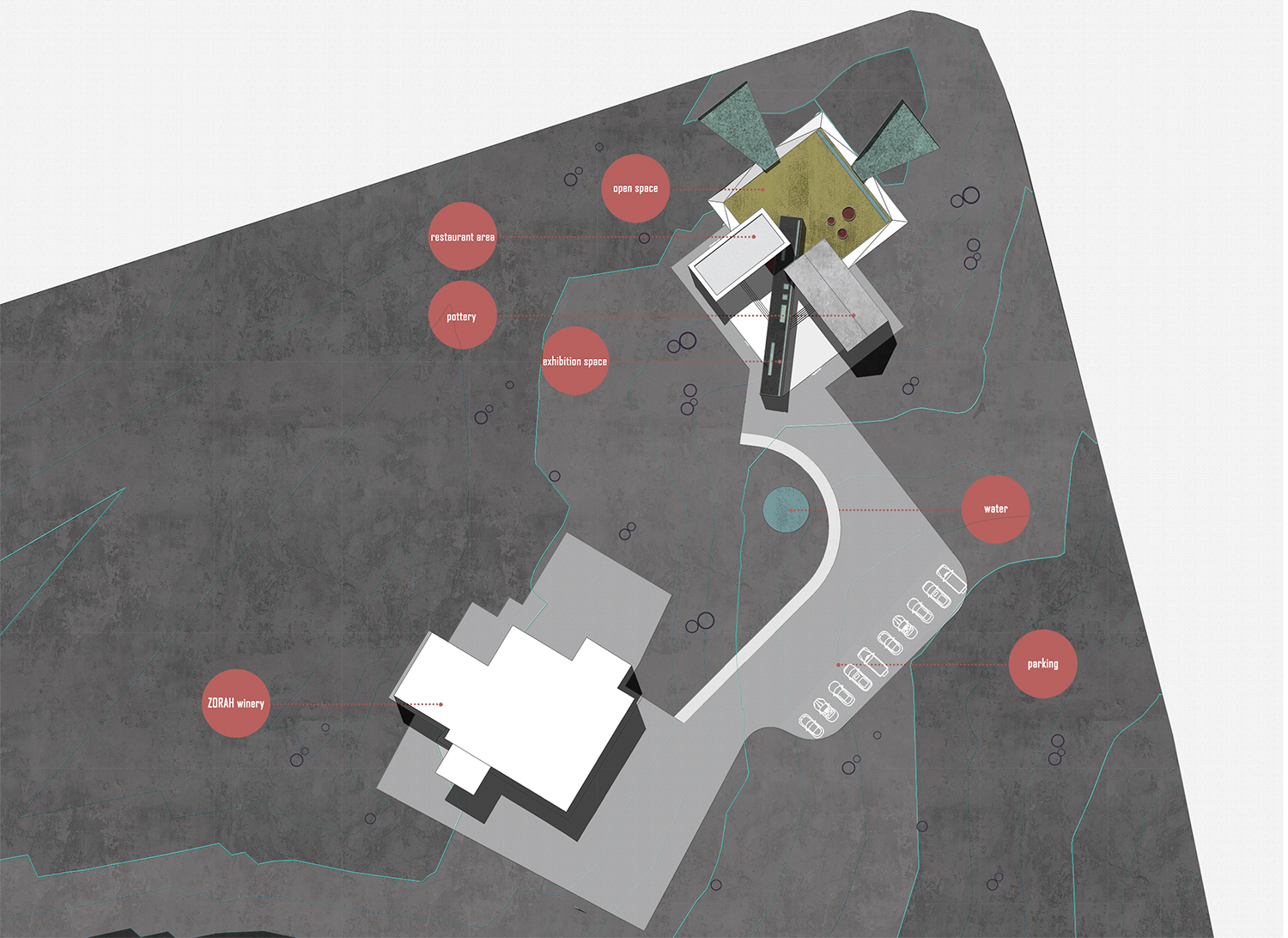 佐拉品酒与陶器-8