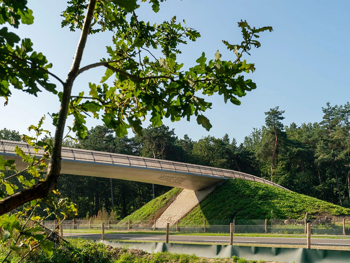 N69 公路丨荷兰丨NEXT architects-16