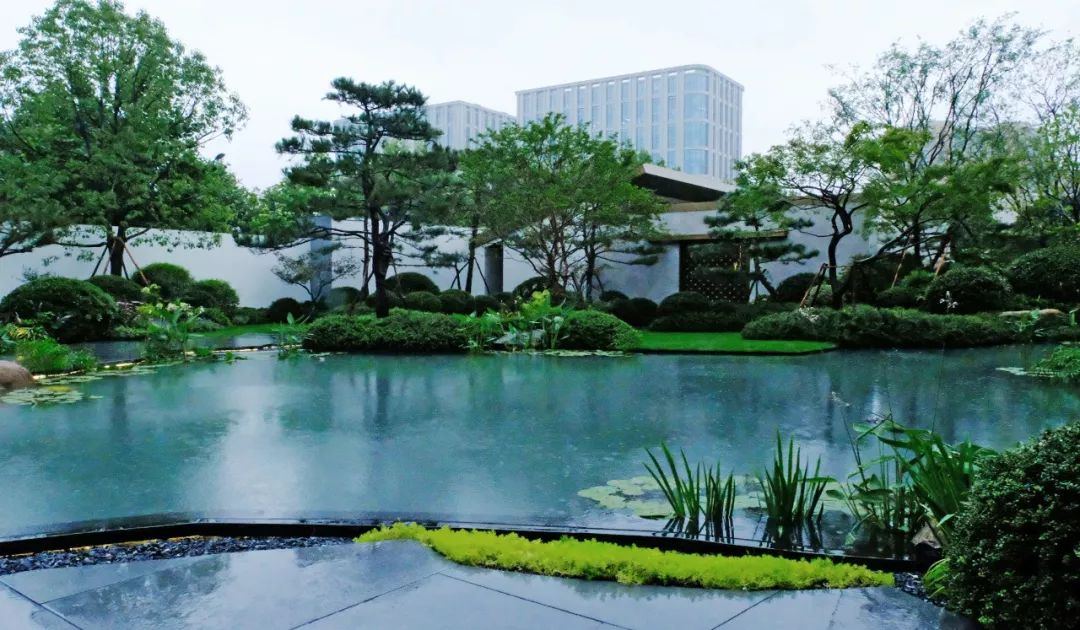 石头记：落雨声皆看化 | 龙湖葛洲坝 · 景粼天著-65