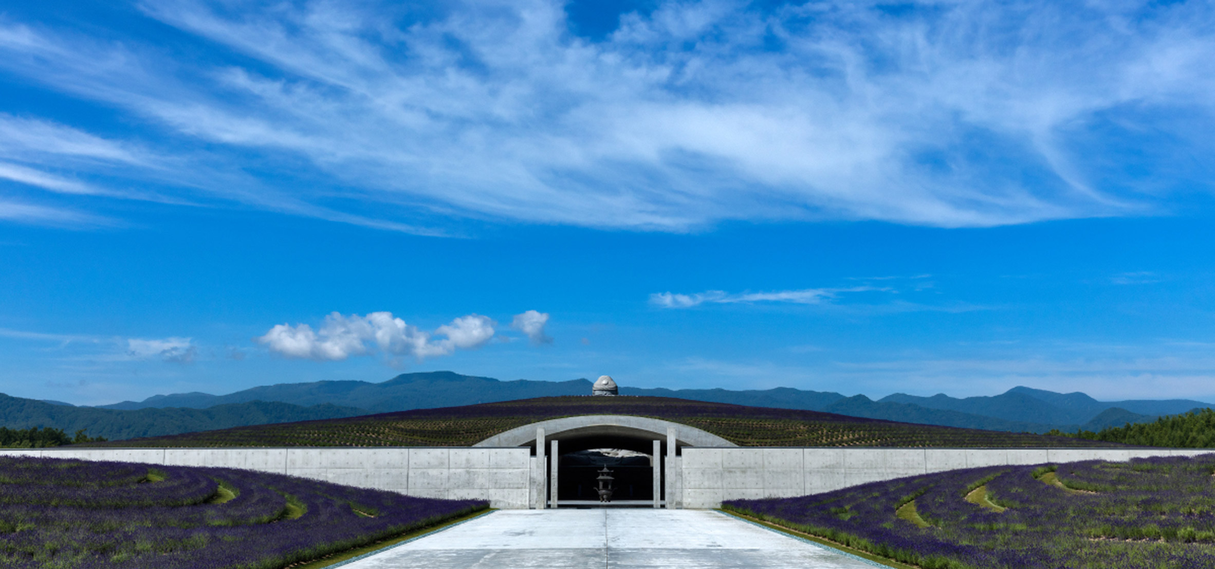Tadao Ando surrounds huge buddha statue with lavender-covered mound-8
