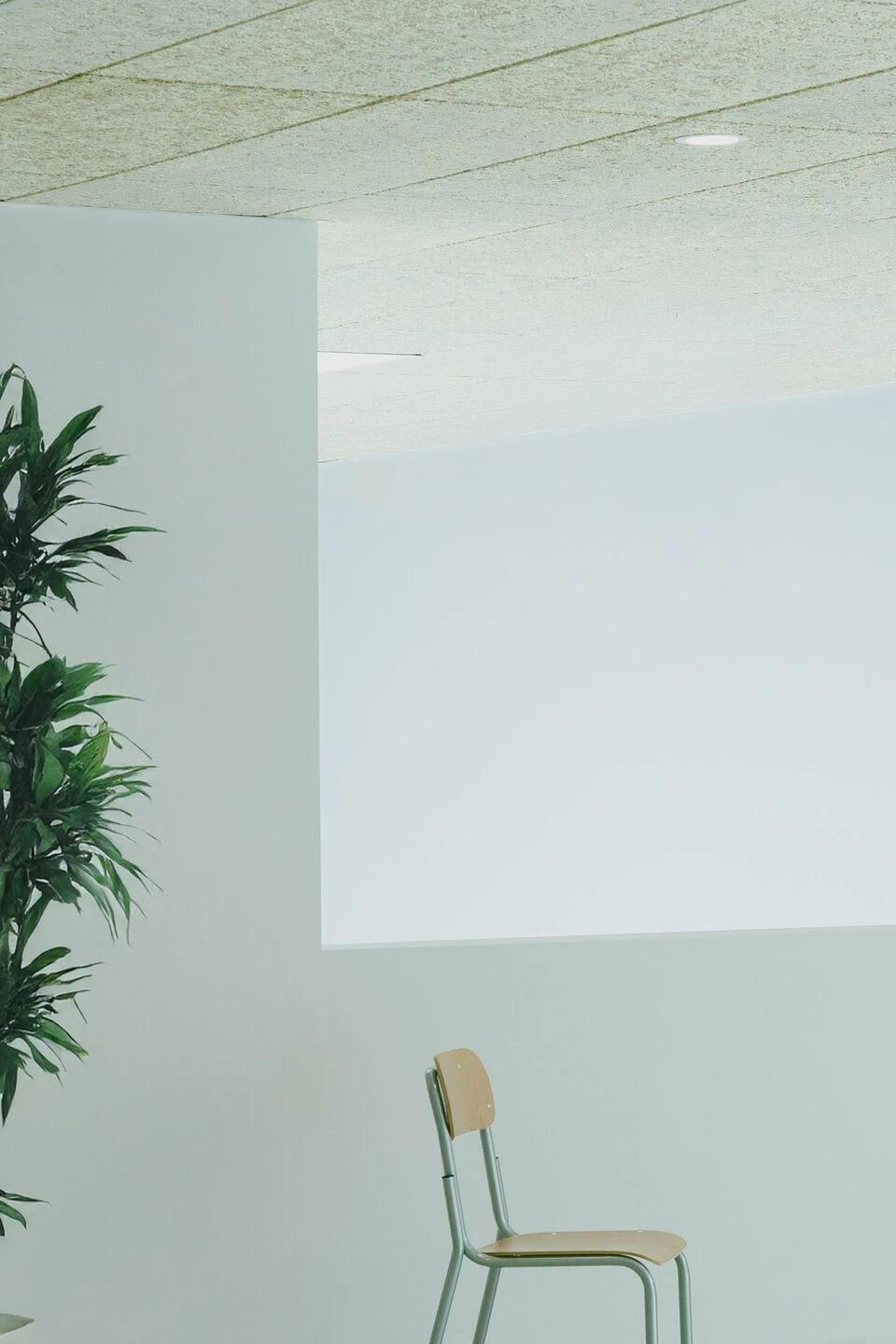 San Giusto 高中丨意大利丨Colucci&Partners-13