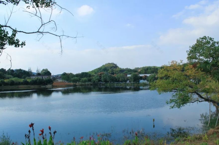 穿过喧嚣 走进时光·来高淳东坝看美丽乡村-4