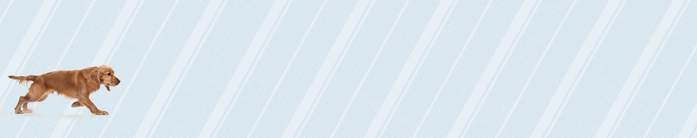 华沙亚斯诺公寓丨波兰华沙-13