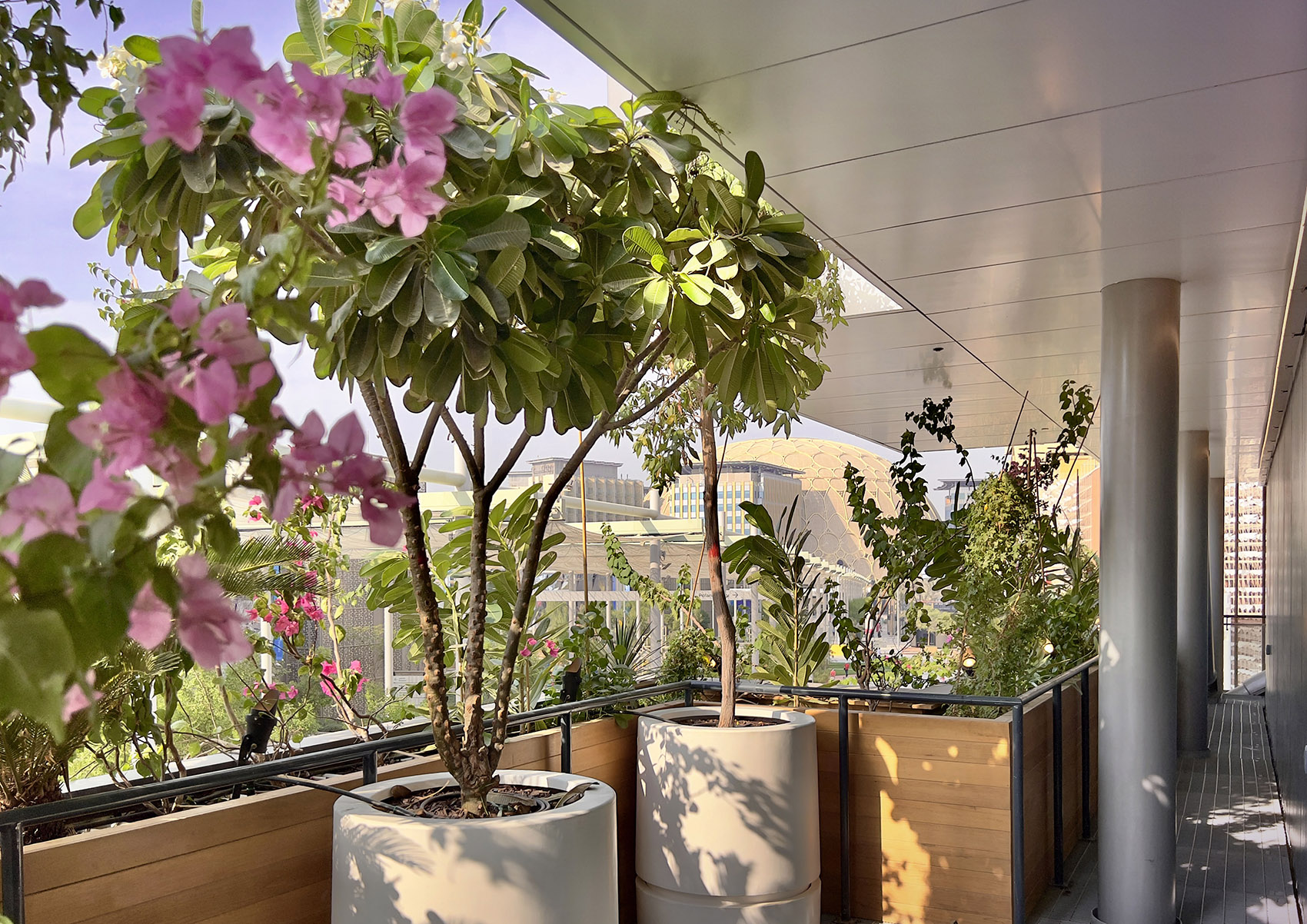 绿色拱门&2020迪拜世博会比利时馆丨阿联酋迪拜-92