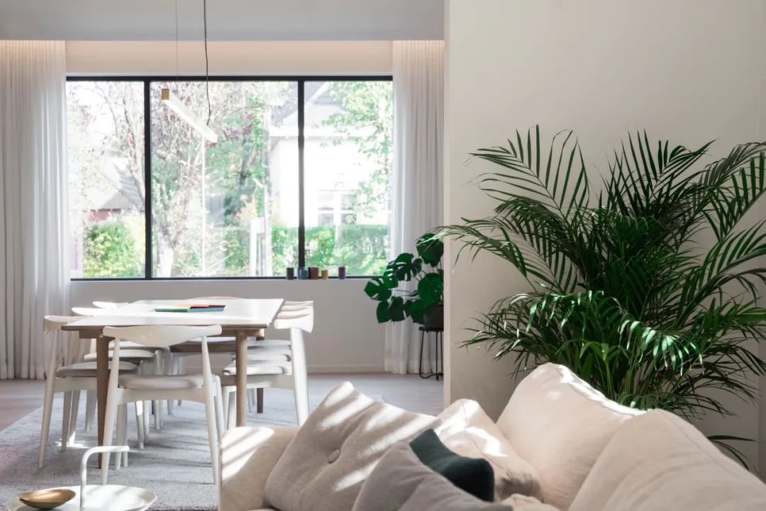 有机建筑哲学融入未来主义设计-20