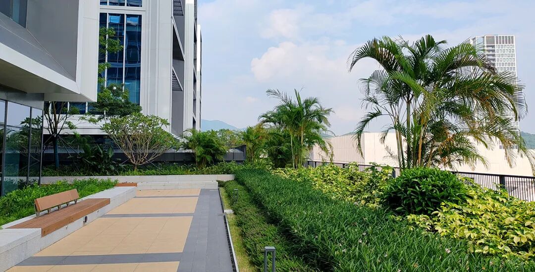 新闻|荣誉高光鹏城实验室园区荣获深圳市风景园林协会质量等级评定规划设计类优秀奖！-220