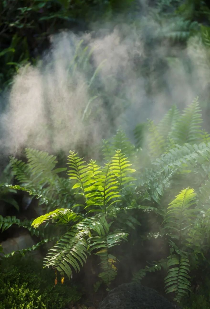 于热带秘境中编织生活美学|江东麓岛阅海澜岸2期花境项目-69