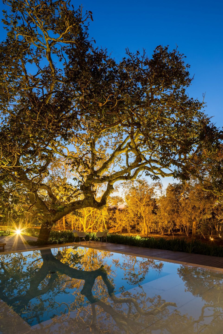 巴西 House 28 绿色住宅-28