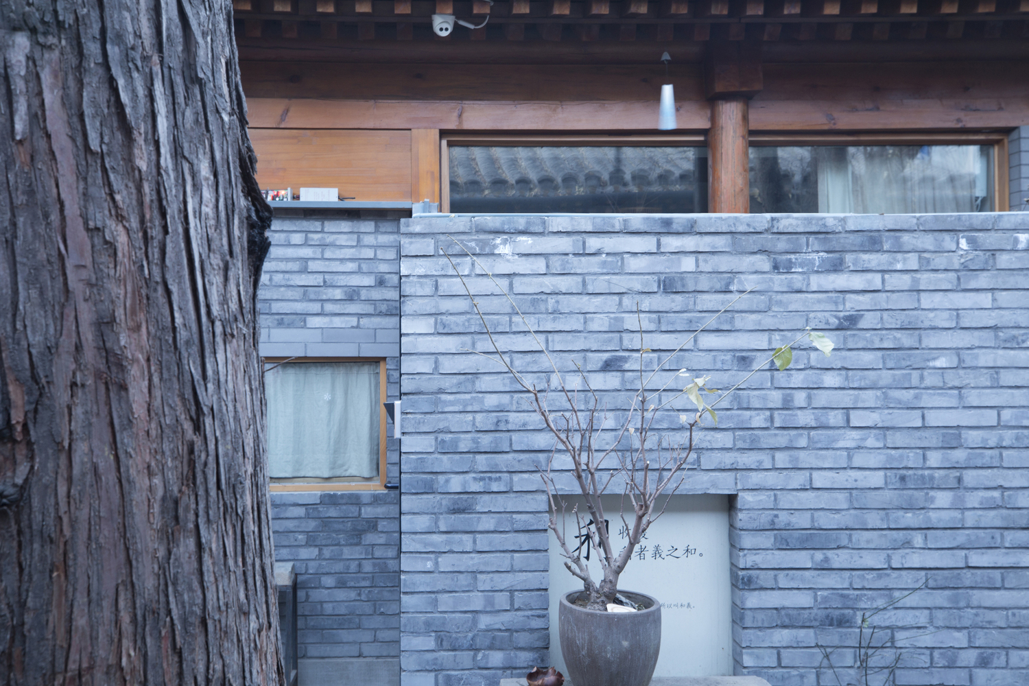 十 courtyard house 演绎现代中式之美-14