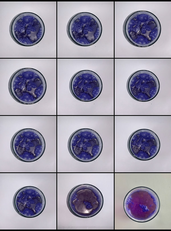 EJERCICIO 2: EL ESPACIO DESDE LOS ELEMENTOS NATURALES-42