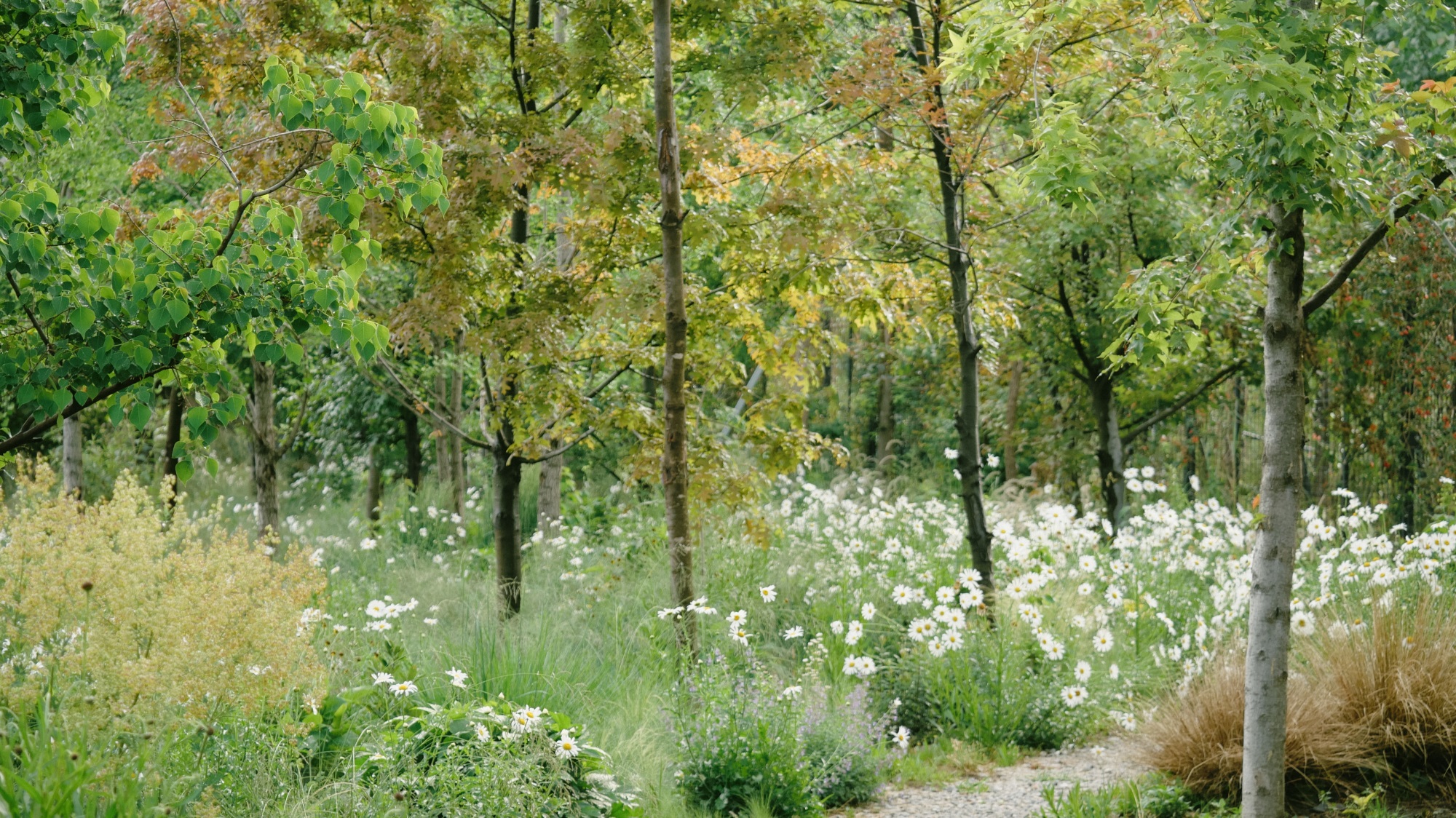 大理山下花园丨中国大理丨上海叙野景观设计有限公司-6