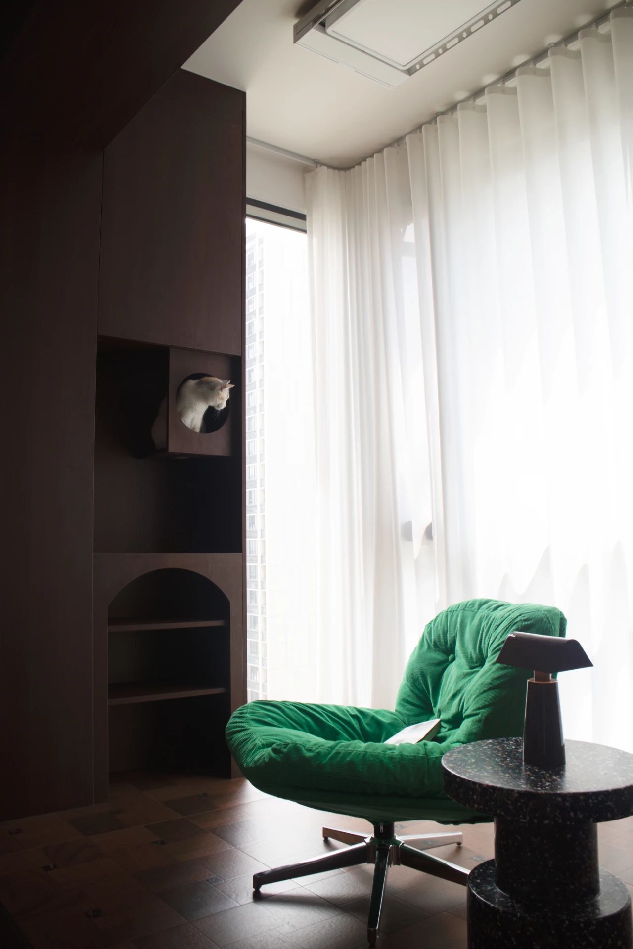 这家有猫丨中国汕头丨OC studio-22