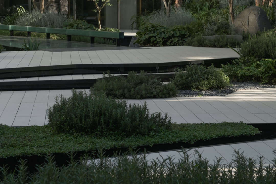 让山林的风，吹向城市|苏州蠡棠森屿-10