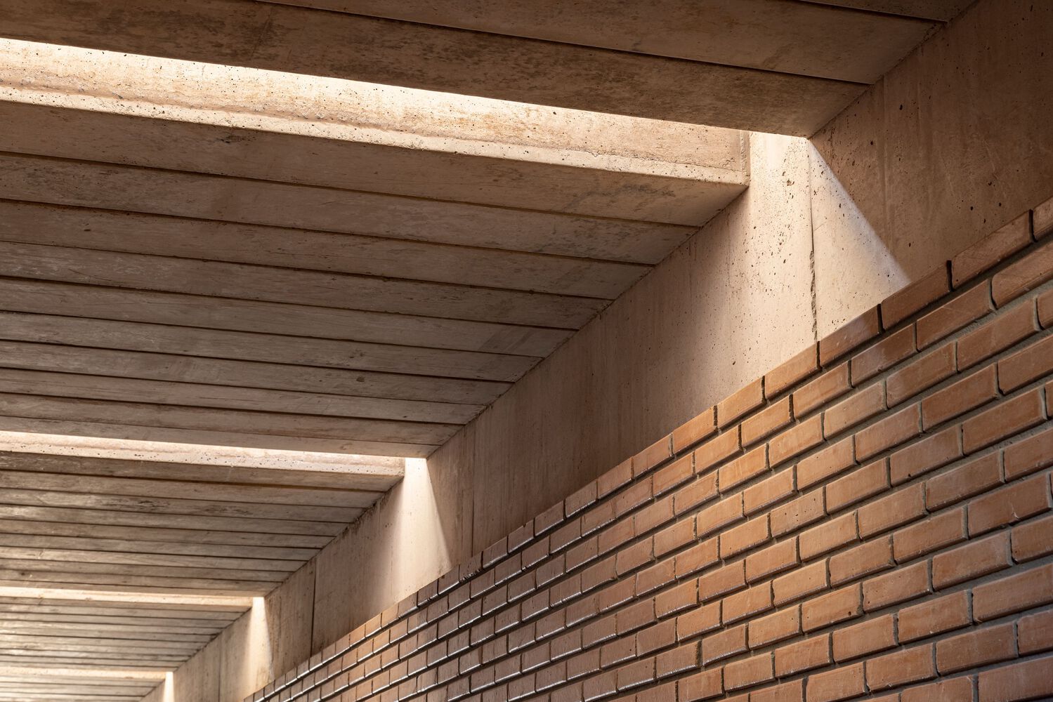 巴西别列佐夫斯基住宅丨BLOCO Arquitetos-29