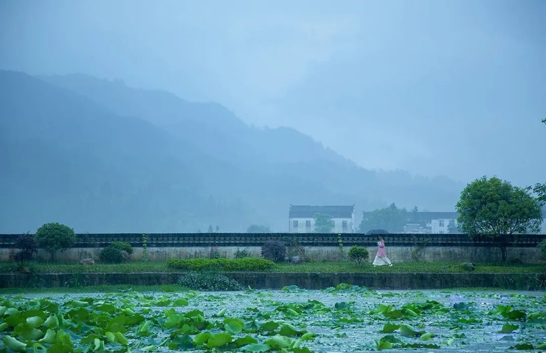 蜂宿设计 · 徽派民宿:“一生痴绝处,无梦到徽州。”-32