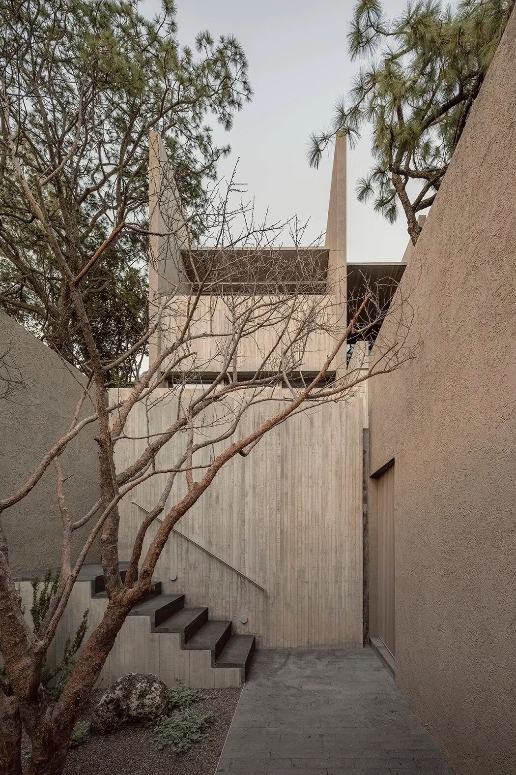 COA Arquitectura,森林庇护所丨墨西哥-20