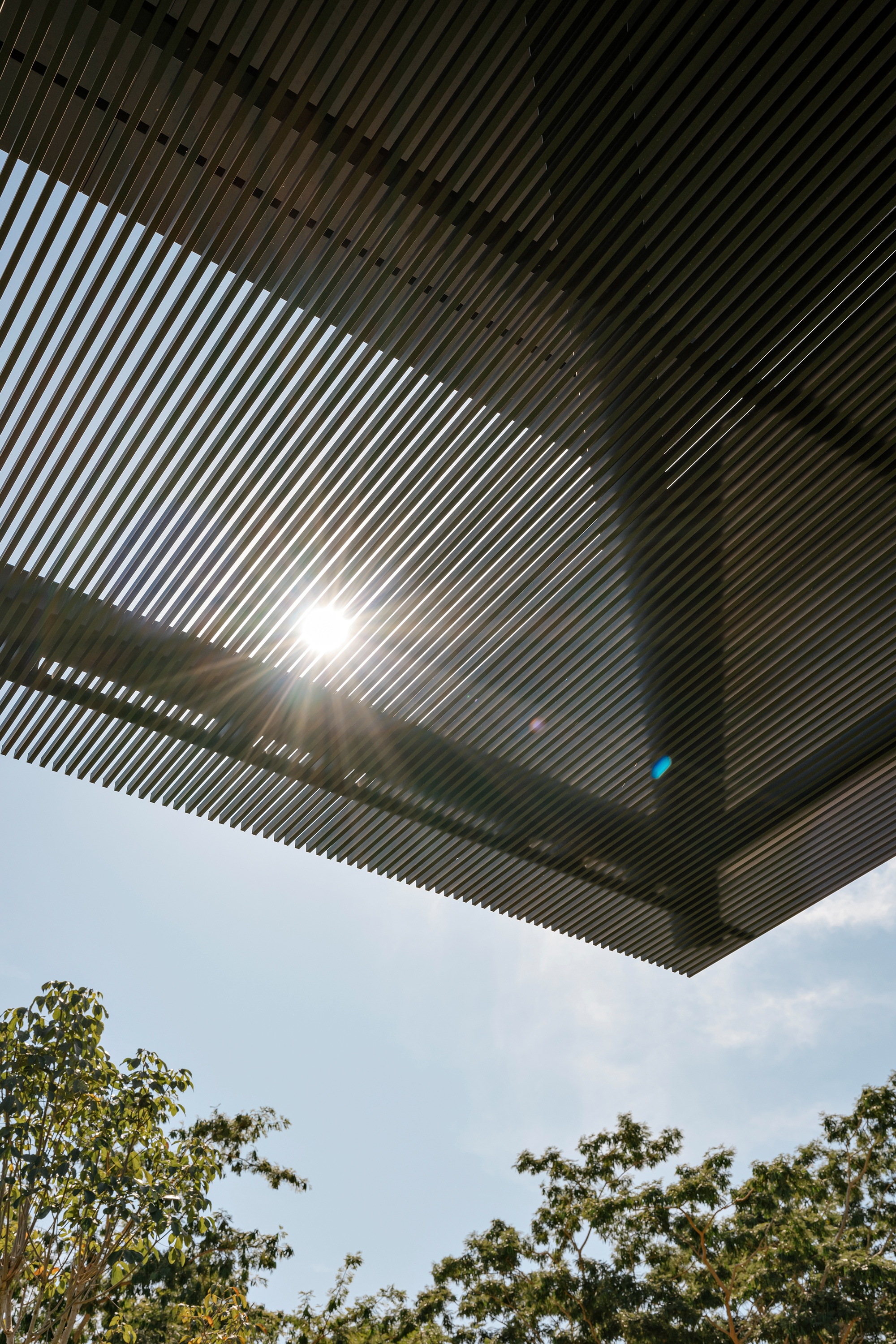 CL住宅:在地的营造丨巴西圣保罗-20