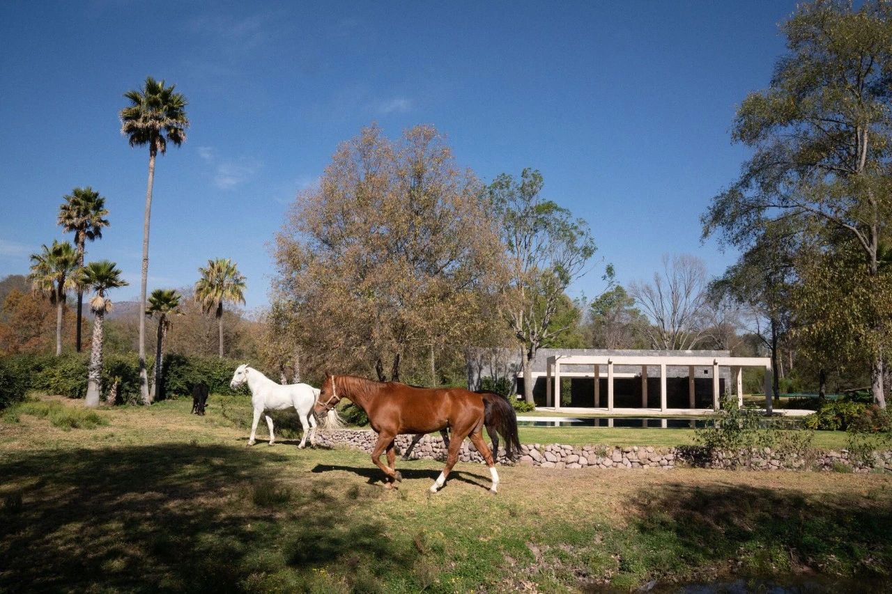 塔朗亭丨印度丨The Grid Architects-107