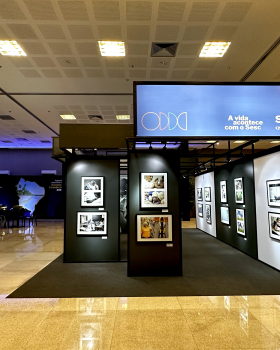 Exposição Brasil passa pelo Sesc - CICB