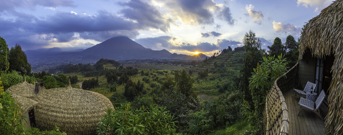 隐于茂密丛林中的豪华度假酒店 Artichoke Interiors-3