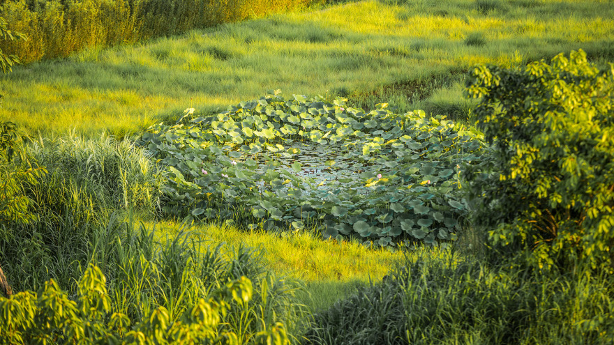 重庆潼南大佛寺湿地公园 / 土人设计-25