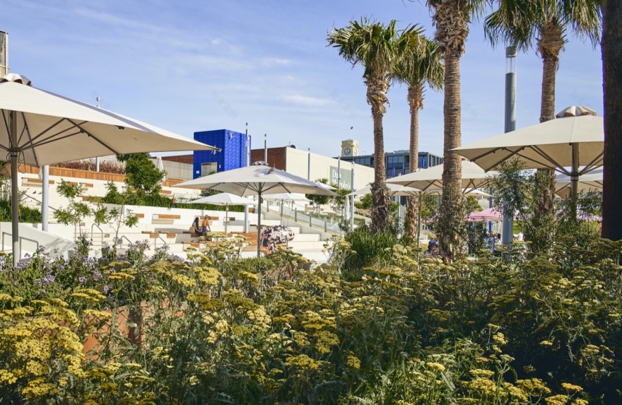 Prahran Square · 停车场变城市绿地丨澳大利亚丨ASPECT Studios,Lyons 等-25