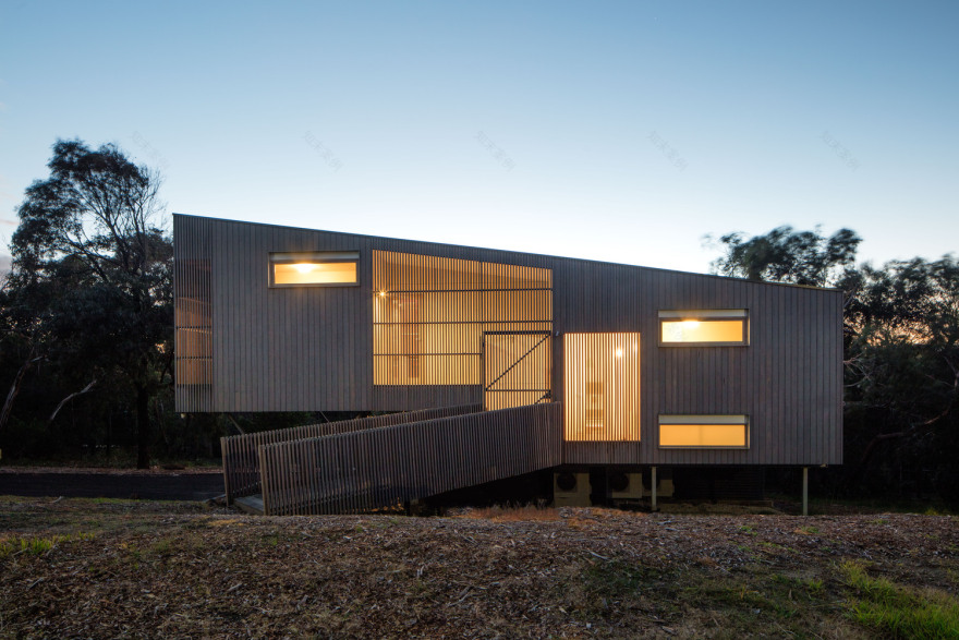 丛林中的庇护所·Aireys Ramp House-39