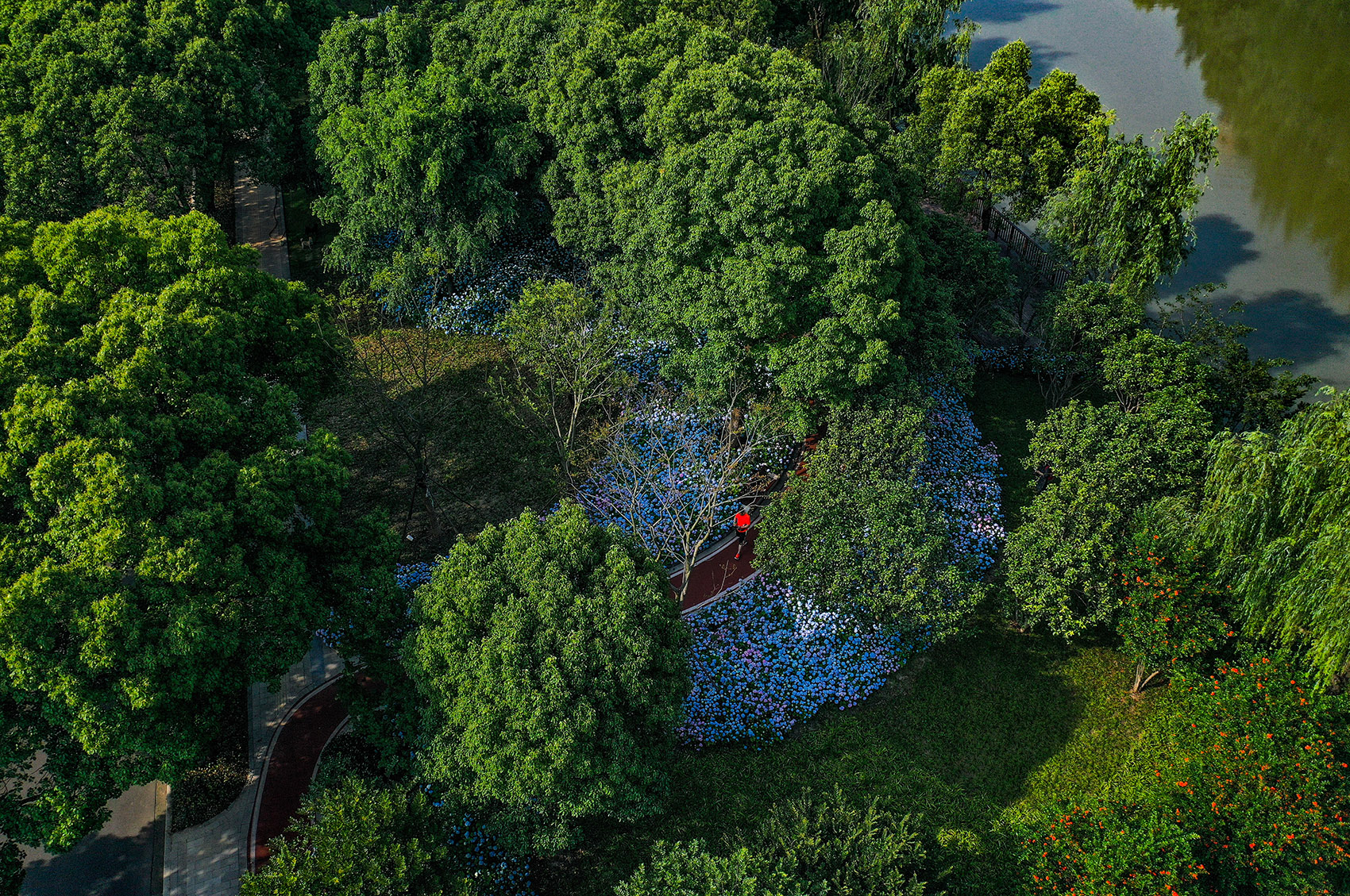 嘉兴口袋公园-40