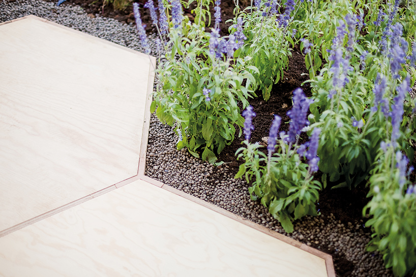 Zighizaghi 广场改造为特色城市花园丨意大利-14