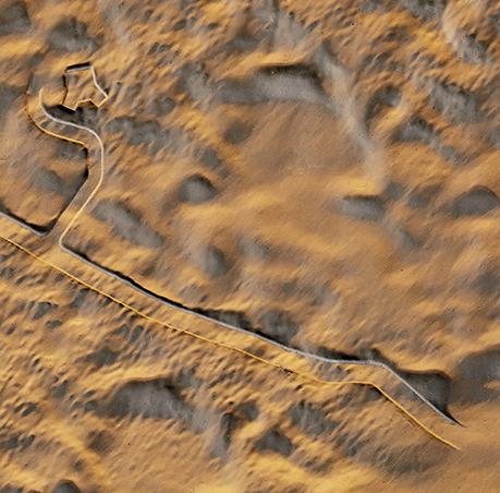 新加坡 Eden 公寓 | 自然灵感与都市生活的完美融合-6