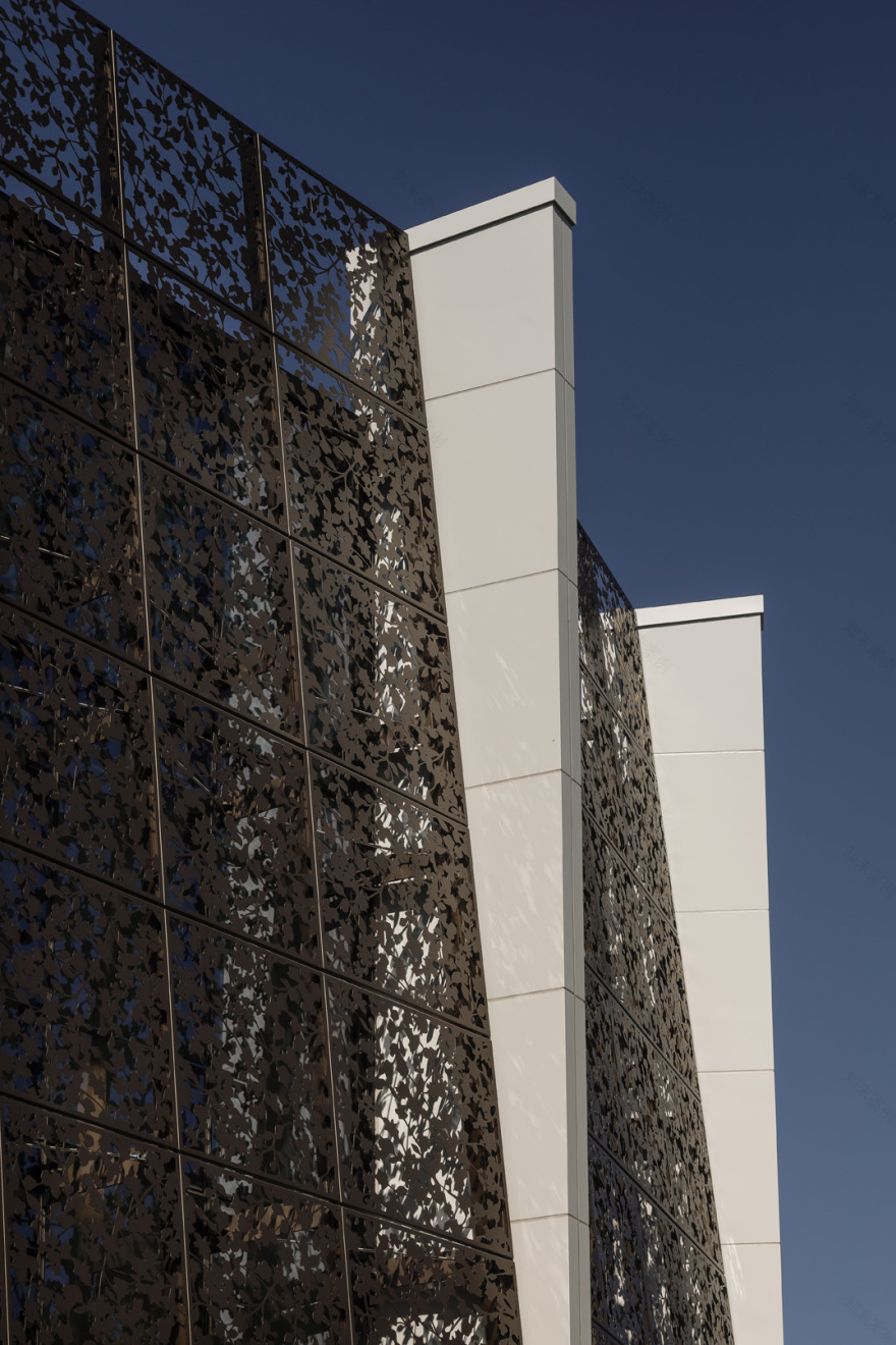 Diocesan School for Girls Music & Drama School / McIldowie Partners-36