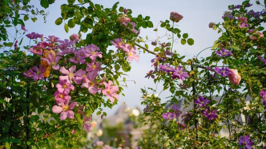 一米花园丨中国上海丨专业设计团队-54