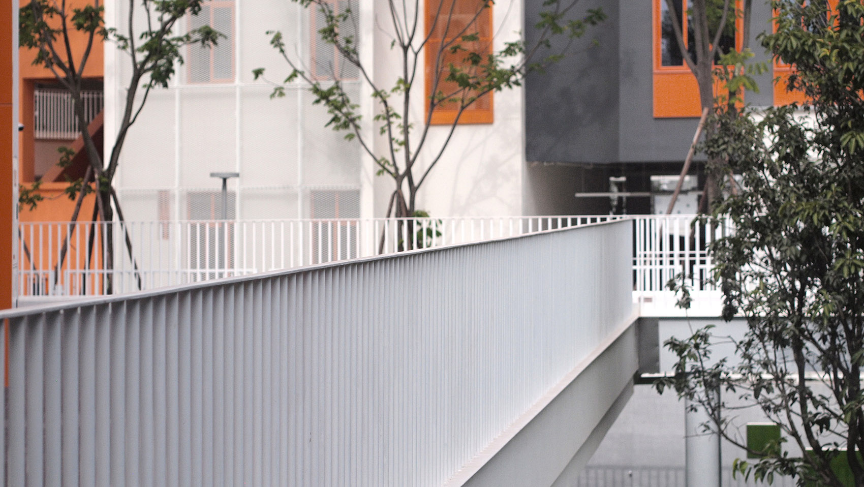 成都麓湖哈密尔顿学校幼儿园-59