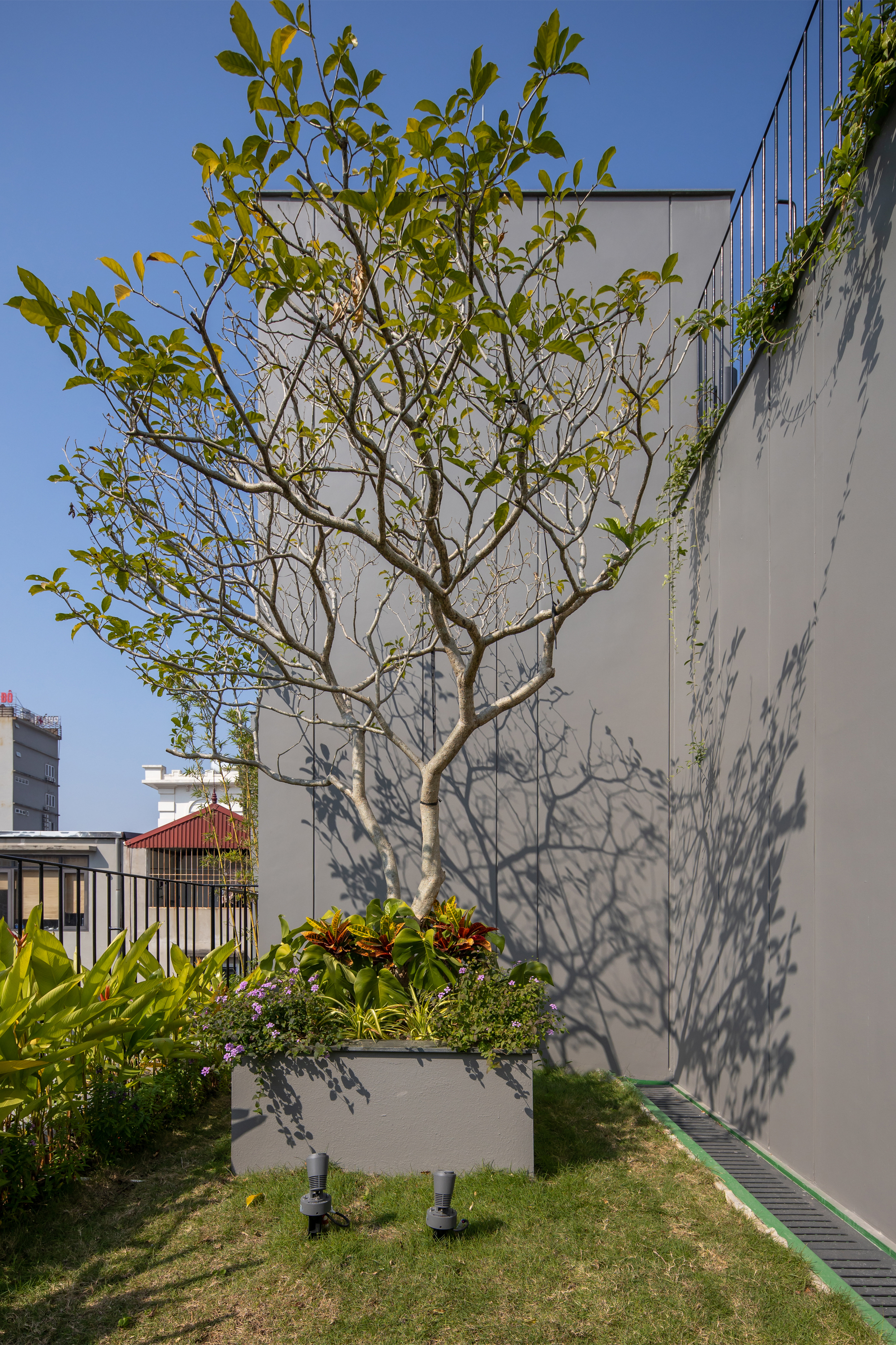 热带屋 1丨越南丨ARO Studio-38