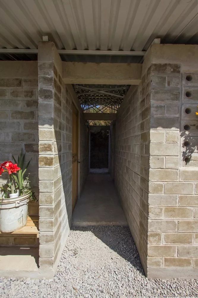 墨西哥瓦伦蒂娜住宅,绿意环绕的环保之家-8