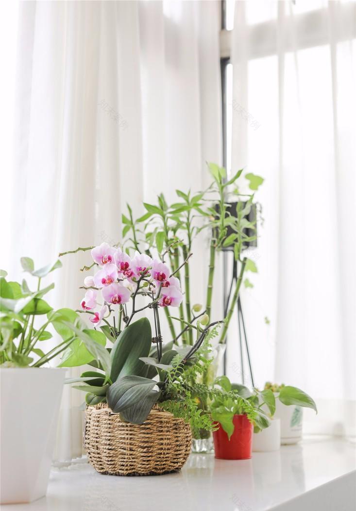 小户型完美逆袭,极简设计让家超有质感-45