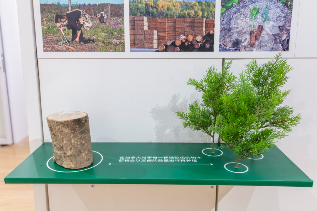 《无尽 · 当代木结构实践展》展示空间丨中国上海丨活络空间设计事务所-31