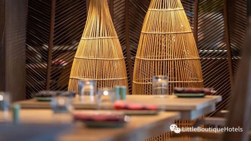 巴厘岛安达仕酒店丨印度丨SPIN DESIGN-30